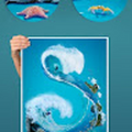 hadasamir16_gmail_com