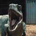 Halo_Raptor