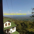 halveti