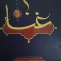 Hamid_vlp