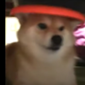 Hap