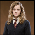 HARRY_POTTER__