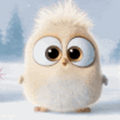harshdeepqj_gmail_com