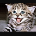 heber_penilla_catkingishere