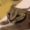 Hecker_is_back_Boi