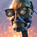 Heimskiir