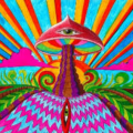 Psychonaut
