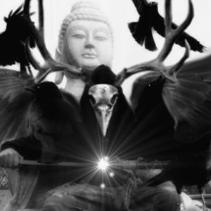 helper_crow