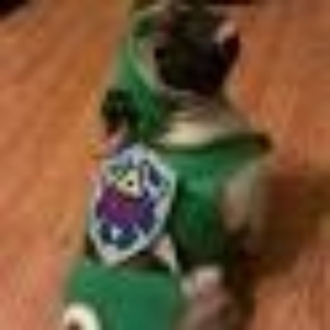 HeroOfTem