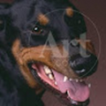 hickmanterry707_gmail_com