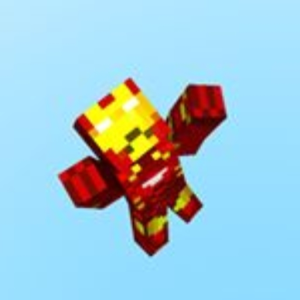 hidde12