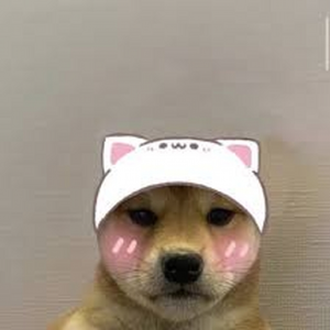 omg