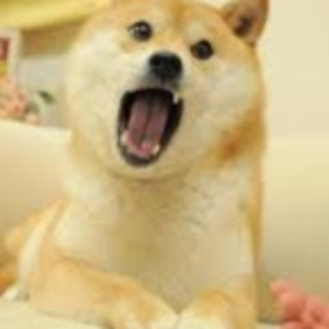 hihihhihihihibdhiuahffyus