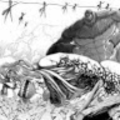 HISTORIAYEAGER