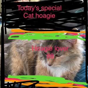 hoagie_lover_88_chh