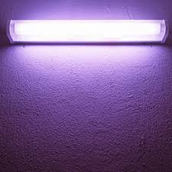 Hobosjoe
