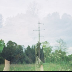 hollowhaze