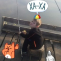 HSARF