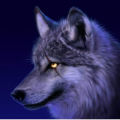 htmedlock25_spart2_org