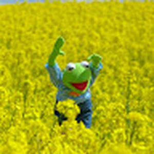 https_bayleaf