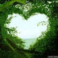 hummuasad_gmail_com