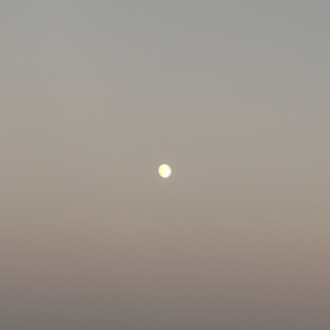 anodyne