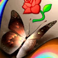husainahmad