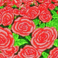 jrd