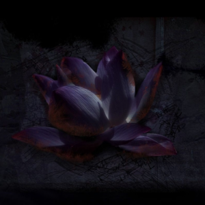 iamBlackLotus