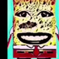 ib2213028_gmail_com