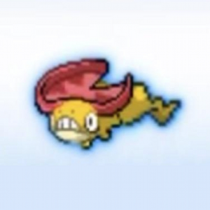 Icepack