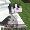 IChicken_NuggiesI