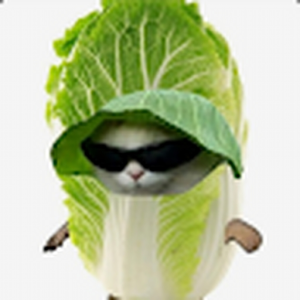 Icook