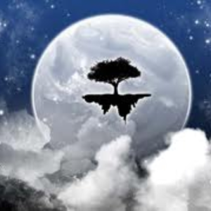 SkyLanders