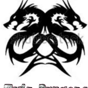 TwinDragons