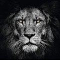 idevaldosilva804_gmail_com