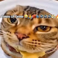 IDKRANDOMUSERIGUESS