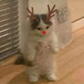 Ilaria_12