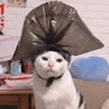 ilia_razin3003_gmail_com