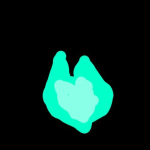 Ilikefoxes