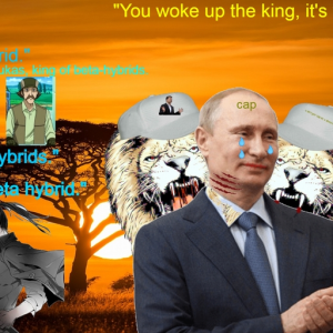 illeboiproductions