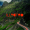 └┘┌┐Illyctro┌┐└┘