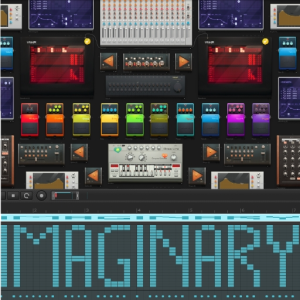 Imaginary