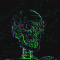 insolitus