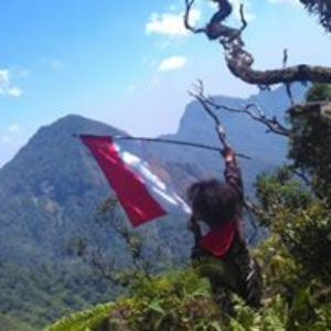 ipul