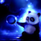 irma_orjegren_gmail_com