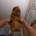 IsaacTheMan8