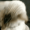 isarurambo_gmail_com