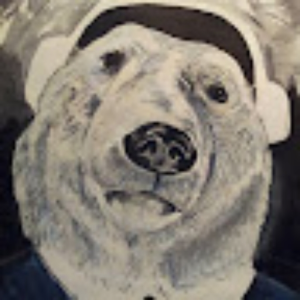 ithepolarbear