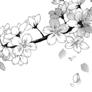 ItsSei